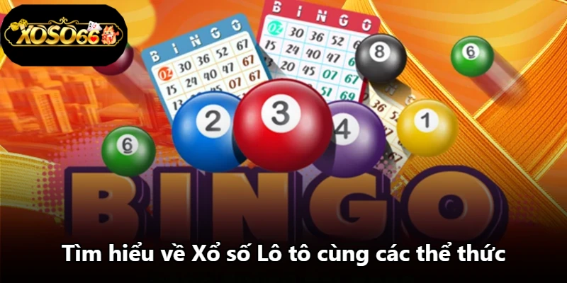 Tìm hiểu về Xổ số Lô tô cùng các thể thức Tìm hiểu về Xổ số Lô tô cùng các thể thức